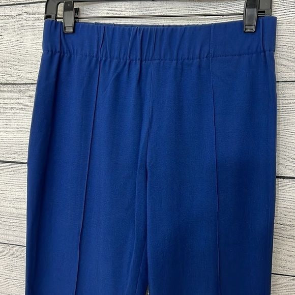 BCBG Blue pants