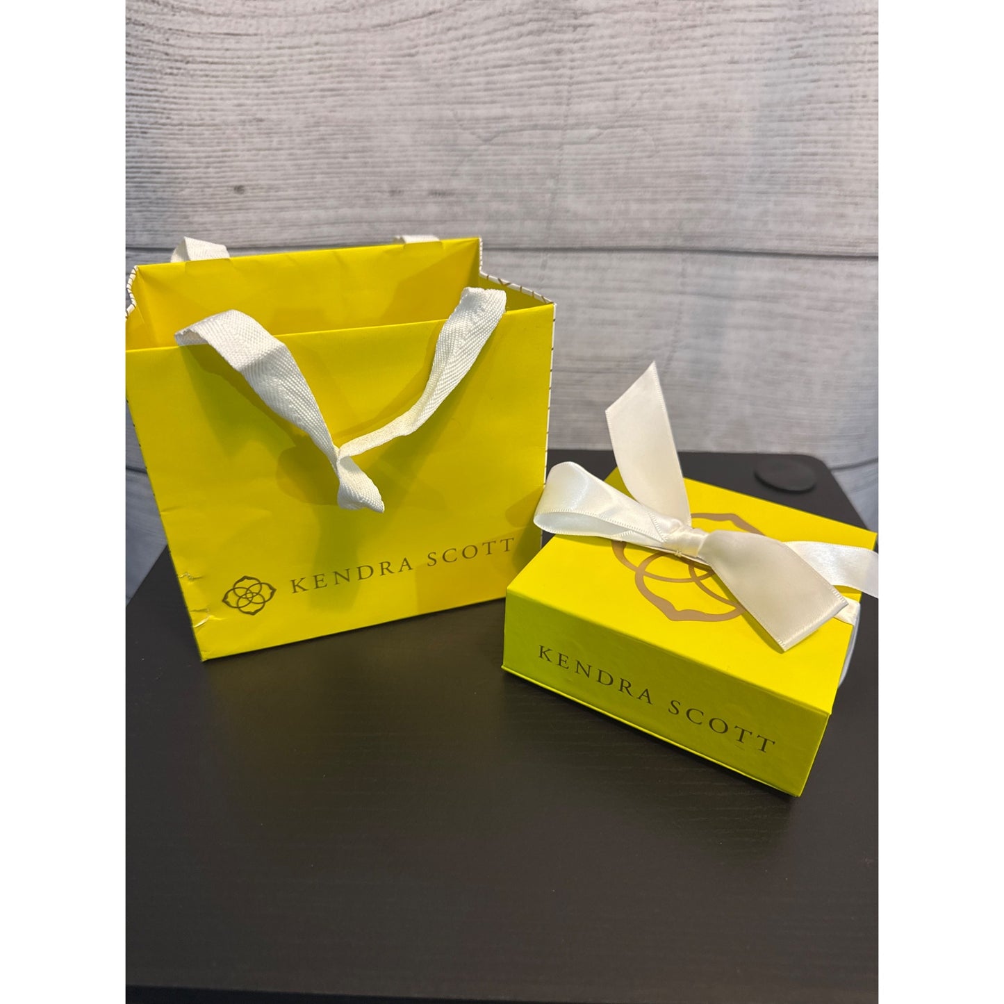 NIB Kendra Scott Silver Chain Link Drusy Necklace & Hoop Earrings Gift Set With Bag & Box