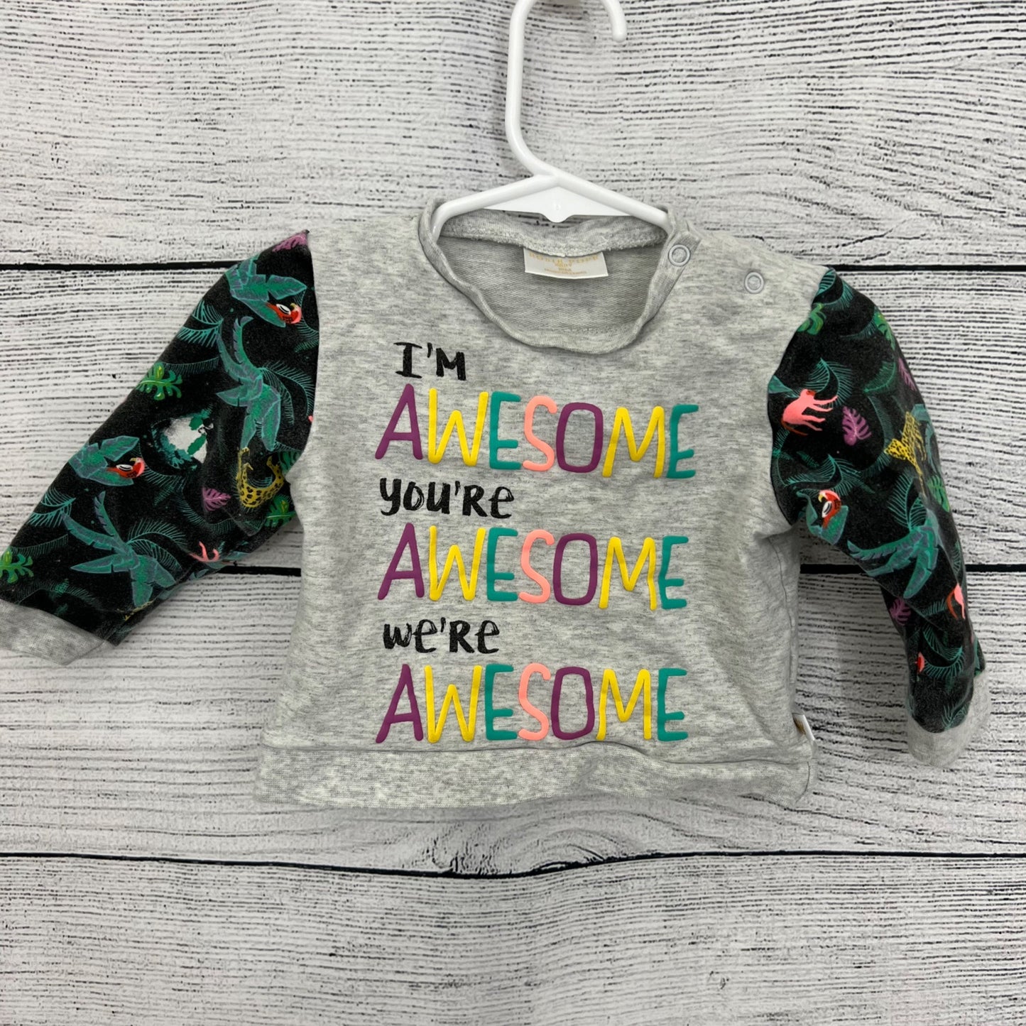 Rosie Pope Baby Dino Long Sleeve Sweatshirt, Size 12 month
