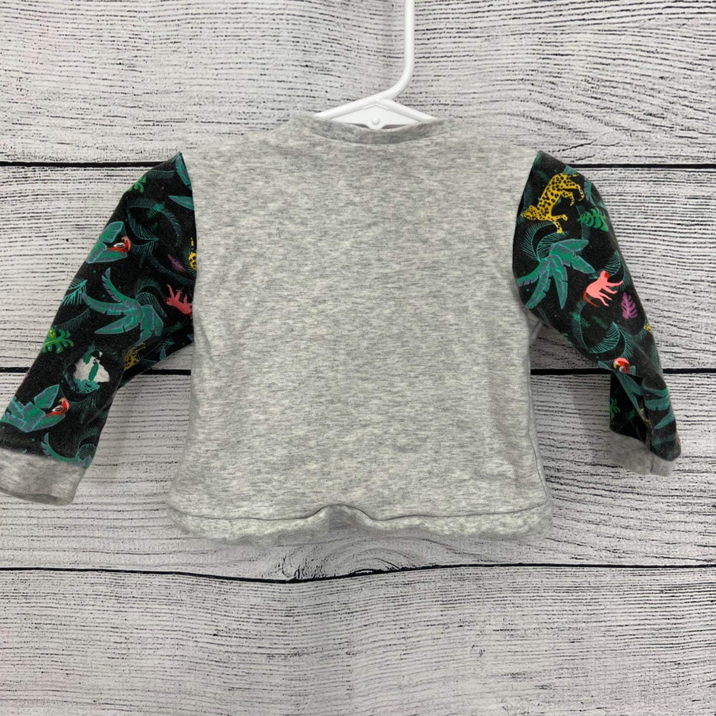 Rosie Pope Baby Dino Long Sleeve Sweatshirt, Size 12 month