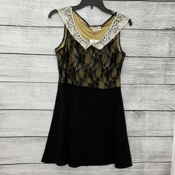 NWT Lace collared dress