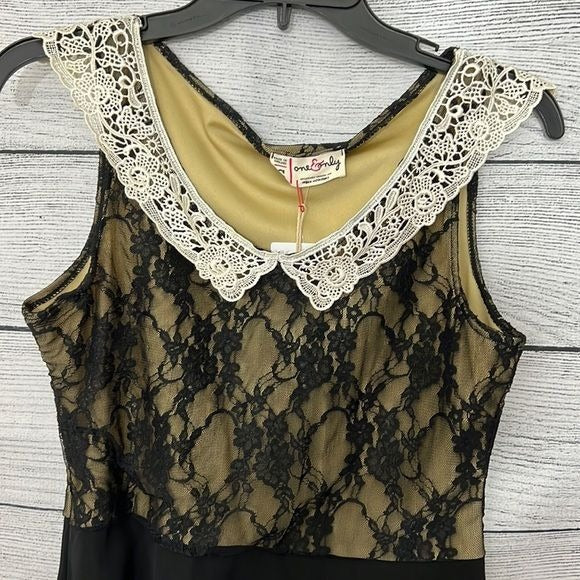 NWT Lace collared dress