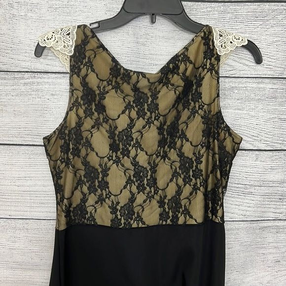 NWT Lace collared dress