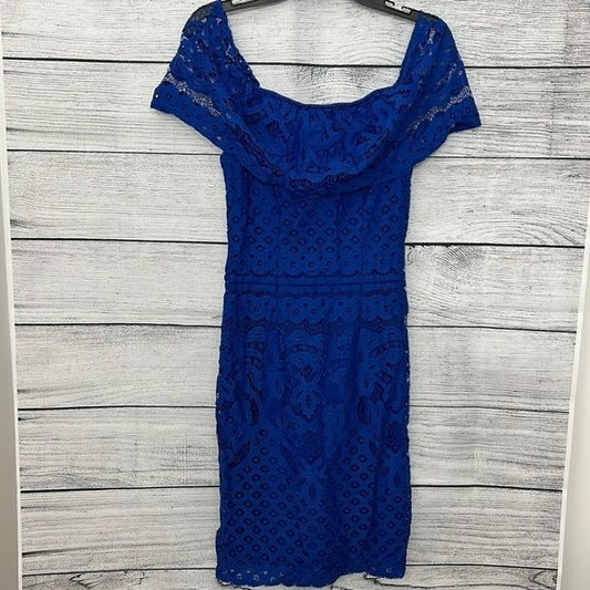Sharagano Blue Lace Dress
