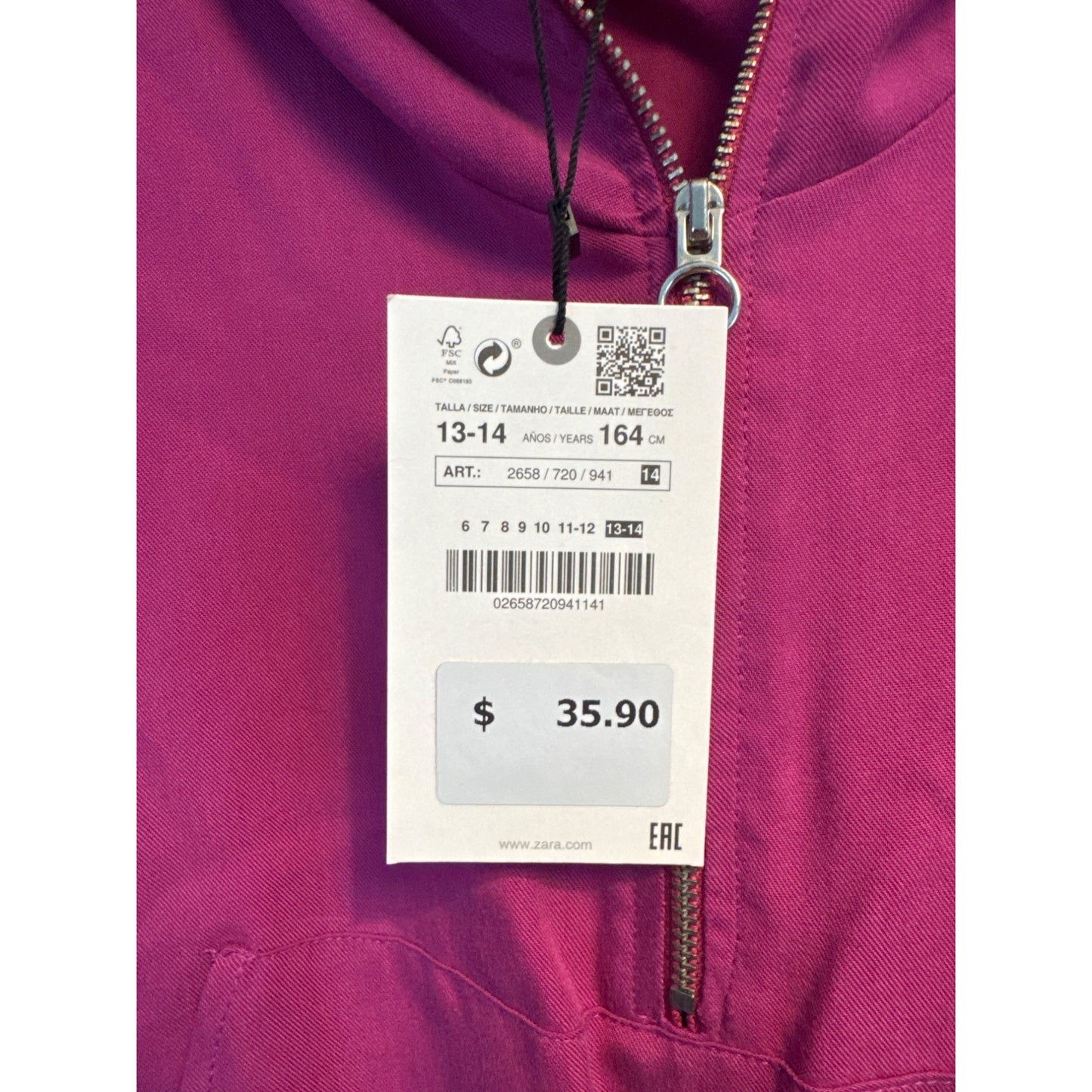 NWT Zara Girls Hooded Dress With Elastic Waist & Zip Closure Size 13/14