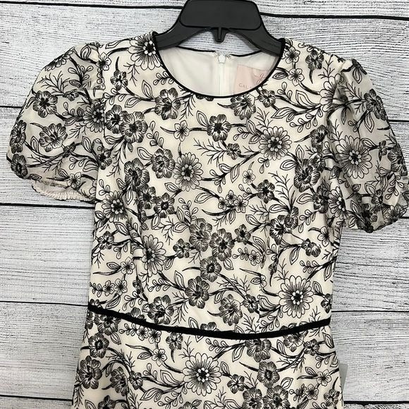 NWT Black and White Lace Dress