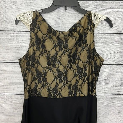 NWT Lace collared dress