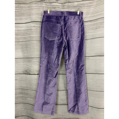 NWT Rag & Bone Violet Jacey Velvet Pant Size 4