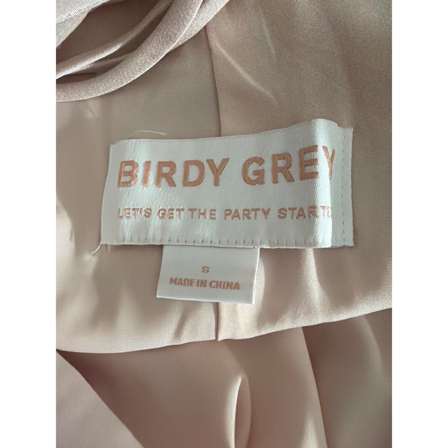 Birdy Grey Dasha Chiffon Slip Dress Size S